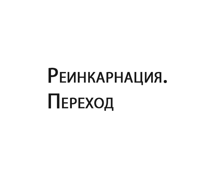 Реинкарнация. Переход